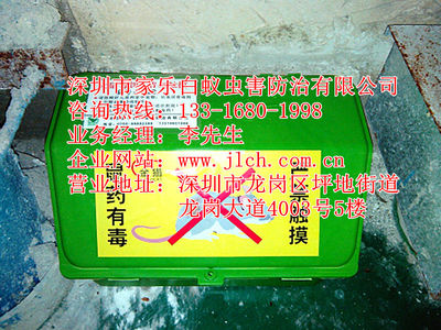 坪山專(zhuān)業(yè)除蟲(chóng)滅鼠、白蟻防治